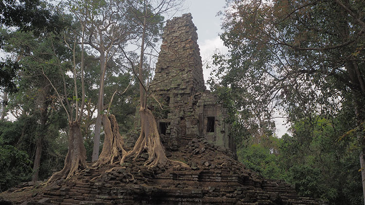 vous en voulez Angkor ?